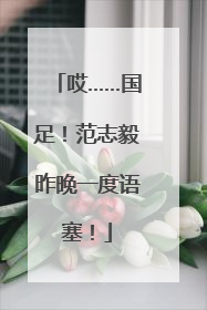 哎……国足！范志毅昨晚一度语塞！