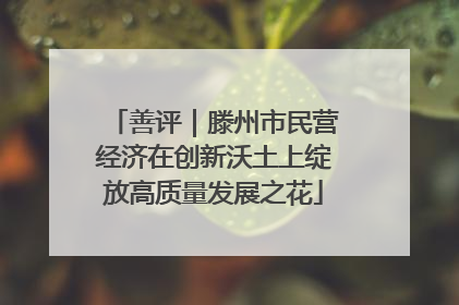 善评｜滕州市民营经济在创新沃土上绽放高质量发展之花