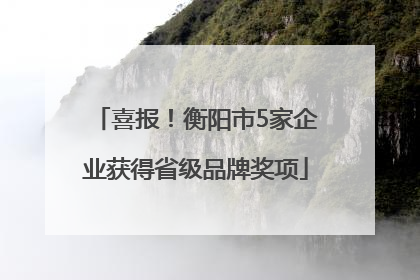 喜报！衡阳市5家企业获得省级品牌奖项