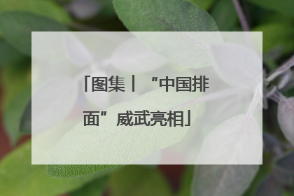 图集︱“中国排面”威武亮相