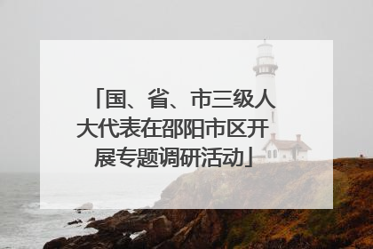 国、省、市三级人大代表在邵阳市区开展专题调研活动