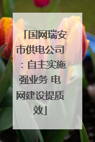 国网瑞安市供电公司：自主实施强业务 电网建设提质效