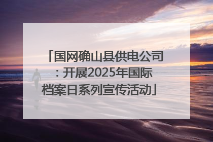 国网确山县供电公司：开展2025年国际档案日系列宣传活动