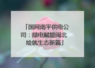 国网南平供电公司：绿电赋能闽北 绘就生态新篇