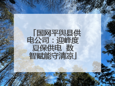 国网平舆县供电公司：迎峰度夏保供电  数智赋能守清凉