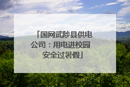 国网武陟县供电公司：用电进校园  安全过暑假