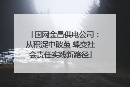 国网金昌供电公司：从积淀中破茧 蝶变社会责任实践新路径