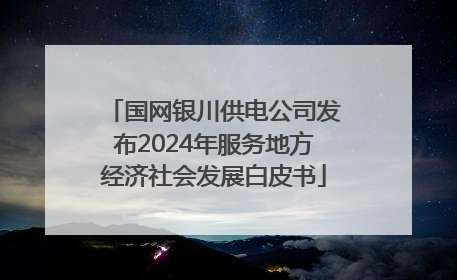 国网银川供电公司发布2024年服务地方经济社会发展白皮书