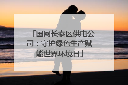 国网长泰区供电公司：守护绿色生产赋能世界环境日