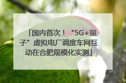 国内首次！“5G+量子”虚拟电厂调度车网互动在合肥规模化实测