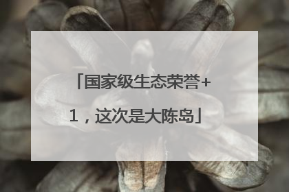 国家级生态荣誉+1，这次是大陈岛
