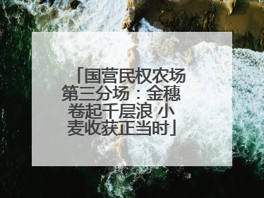 国营民权农场第三分场：金穗卷起千层浪 小麦收获正当时