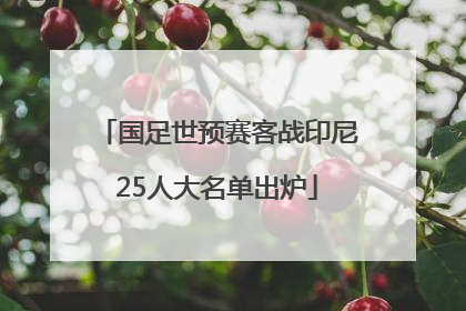 国足世预赛客战印尼25人大名单出炉