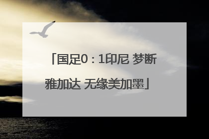 国足0∶1印尼 梦断雅加达 无缘美加墨