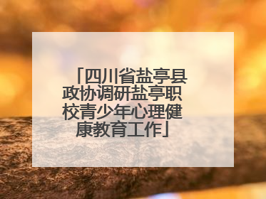 四川省盐亭县政协调研盐亭职校青少年心理健康教育工作
