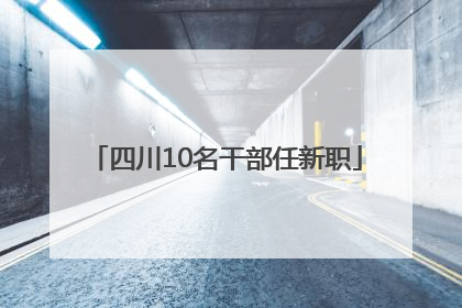 四川10名干部任新职
