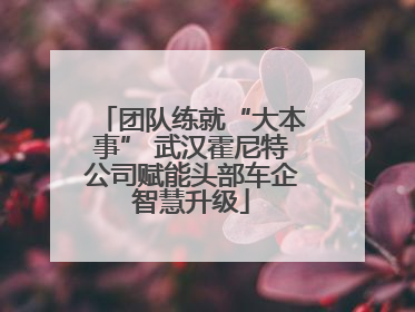 团队练就“大本事” 武汉霍尼特公司赋能头部车企智慧升级