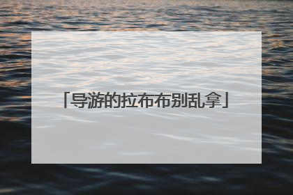 导游的拉布布别乱拿