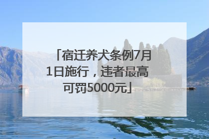 宿迁养犬条例7月1日施行，违者最高可罚5000元