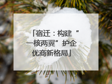 宿迁：构建“一核两翼”护企优商新格局