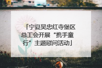 宁夏吴忠红寺堡区总工会开展“携手童行”主题慰问活动