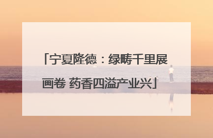 宁夏隆德：绿畴千里展画卷 药香四溢产业兴