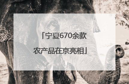 宁夏670余款农产品在京亮相