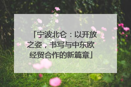 宁波北仑：以开放之姿，书写与中东欧经贸合作的新篇章