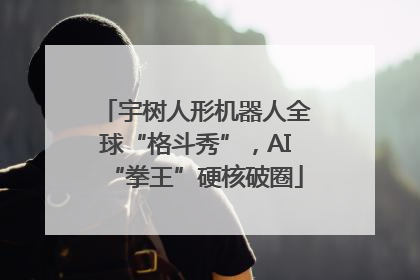 宇树人形机器人全球“格斗秀”，AI“拳王”硬核破圈