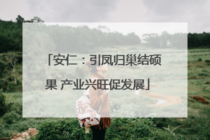 安仁：引凤归巢结硕果 产业兴旺促发展