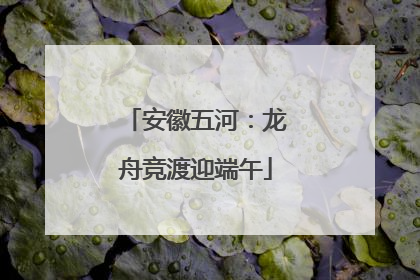 安徽五河：龙舟竞渡迎端午