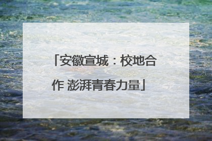 安徽宣城：校地合作 澎湃青春力量