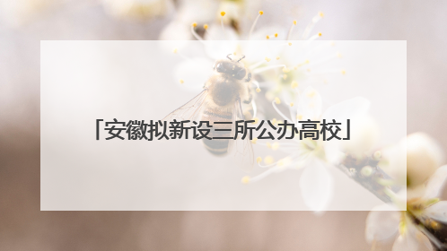 安徽拟新设三所公办高校