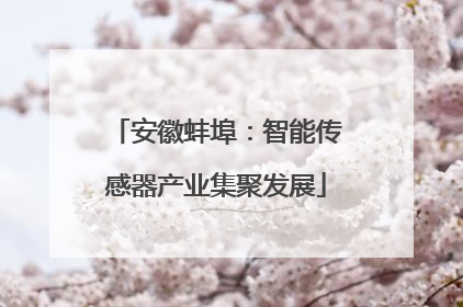 安徽蚌埠：智能传感器产业集聚发展