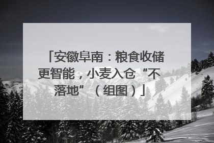 安徽阜南：粮食收储更智能，小麦入仓“不落地”（组图）
