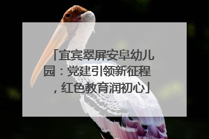 宜宾翠屏安阜幼儿园：党建引领新征程，红色教育润初心