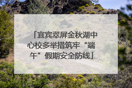 宜宾翠屏金秋湖中心校多举措筑牢“端午”假期安全防线