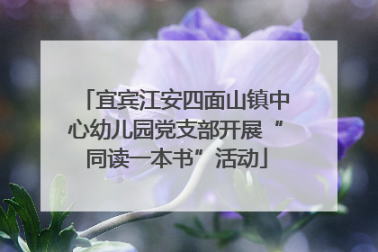 宜宾江安四面山镇中心幼儿园党支部开展“同读一本书”活动