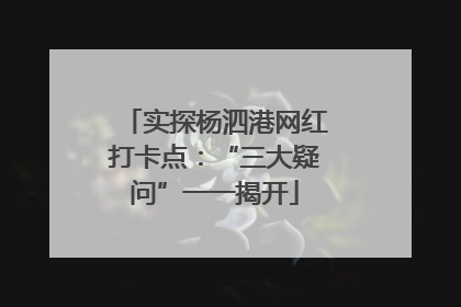实探杨泗港网红打卡点：“三大疑问”一一揭开