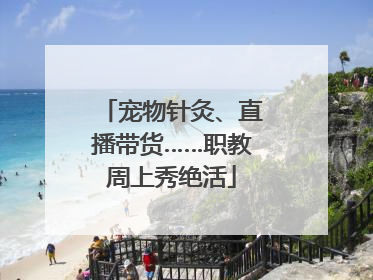 宠物针灸、直播带货……职教周上秀绝活