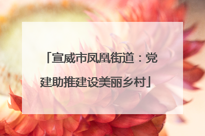 宣威市凤凰街道：党建助推建设美丽乡村