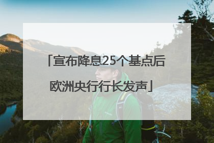 宣布降息25个基点后 欧洲央行行长发声
