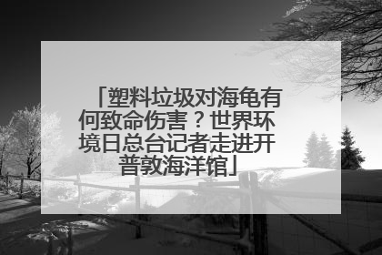 塑料垃圾对海龟有何致命伤害？世界环境日总台记者走进开普敦海洋馆