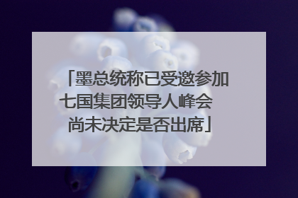 墨总统称已受邀参加七国集团领导人峰会 尚未决定是否出席