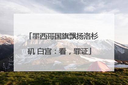 墨西哥国旗飘扬洛杉矶 白宫：看，罪证
