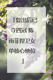 复出后已夺四冠 陈雨菲捍卫女单核心地位