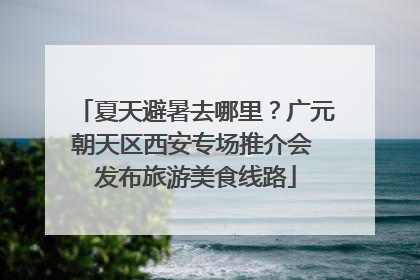 夏天避暑去哪里？广元朝天区西安专场推介会 发布旅游美食线路