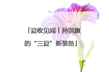 夏收见闻丨孙洪旗的“三夏”新装备