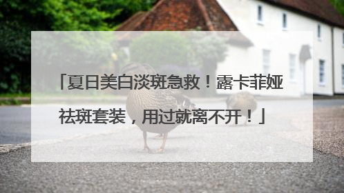 夏日美白淡斑急救！露卡菲娅祛斑套装，用过就离不开！