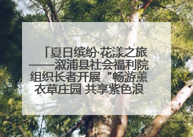 夏日缤纷·花漾之旅——溆浦县社会福利院组织长者开展“畅游薰衣草庄园 共享紫色浪漫”户外活动